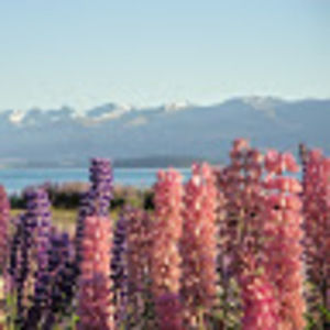 Meet your Posher, Afrika